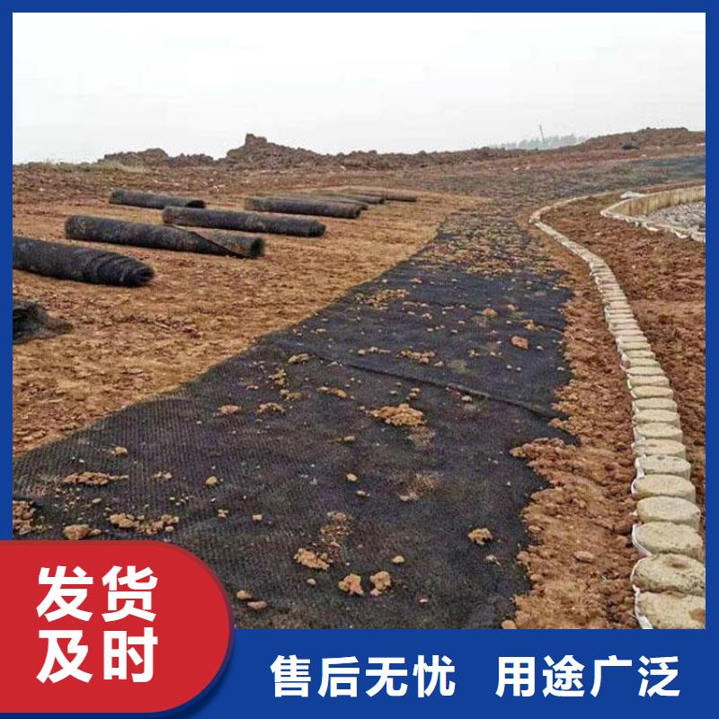 水土保护毯防渗膜真诚合作本地生产商