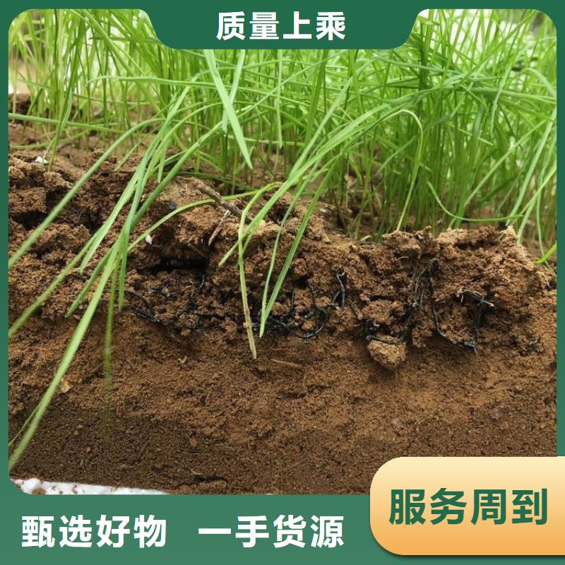 水土保护毯土工布敢与同行比服务质量三包