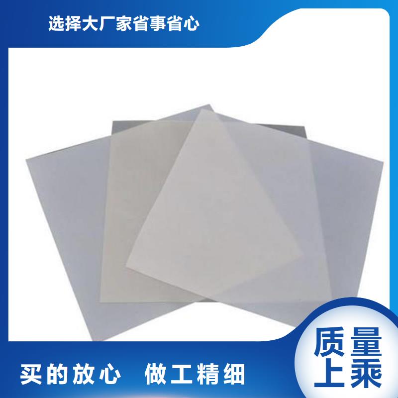 防水板防渗膜厂家现货供应厂家实力雄厚