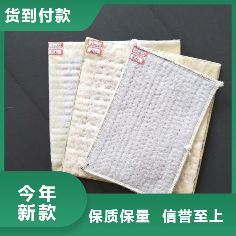 【膨润土防水毯】防渗膜好品质用的放心本地厂家