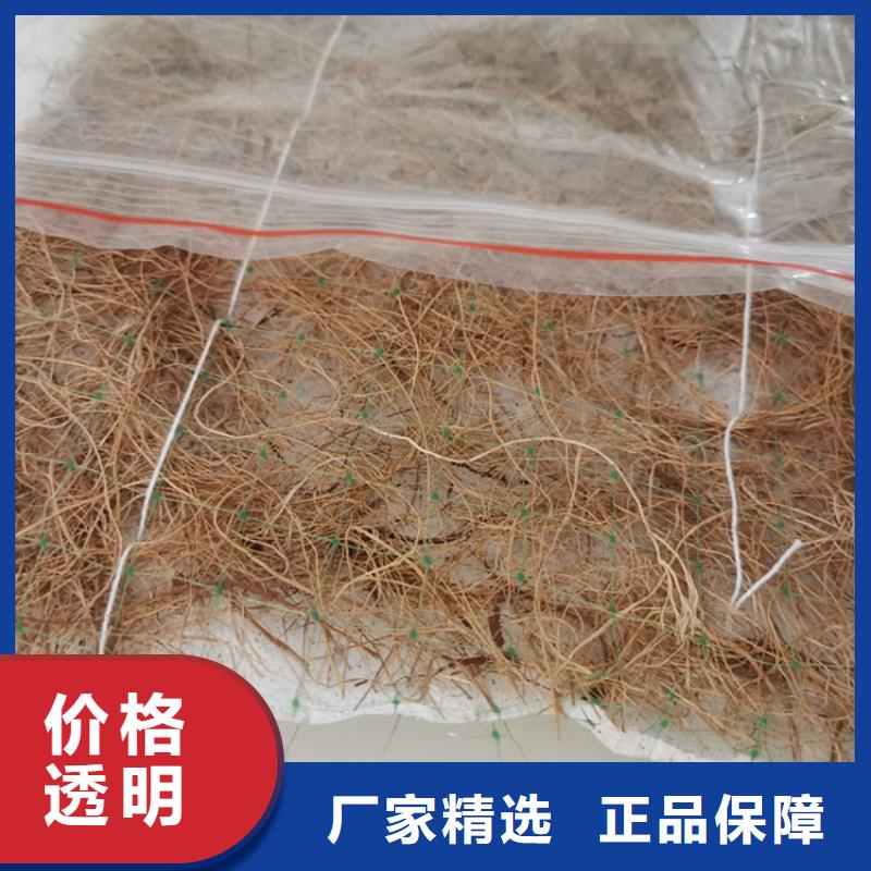 椰丝毯土工膜N年生产经验同城经销商