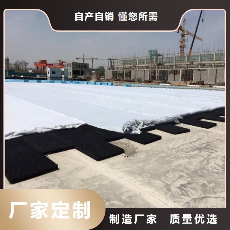 土工席垫,HDPE土工膜市场行情本地供应商