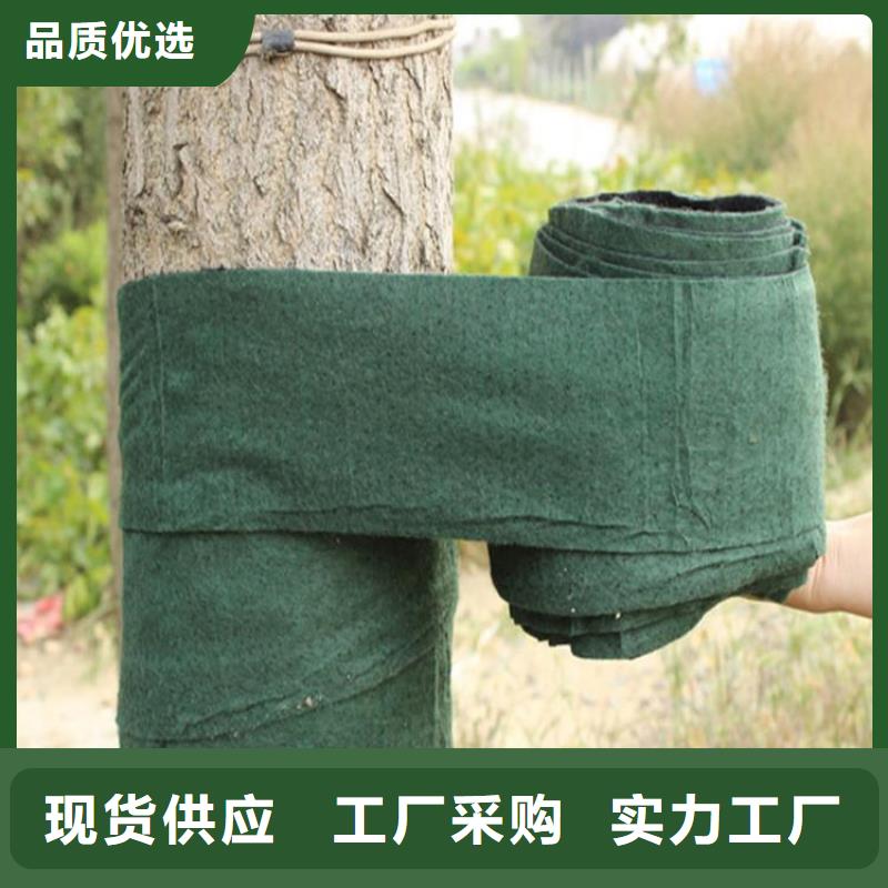 【裹树布【排水板】源头厂源头货】货源直销
