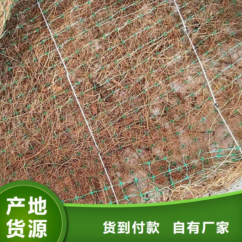 【椰丝毯】HDPE土工膜精心本地品牌