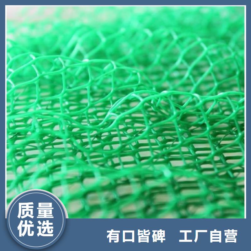 三维植被网复合膜质优价廉现货