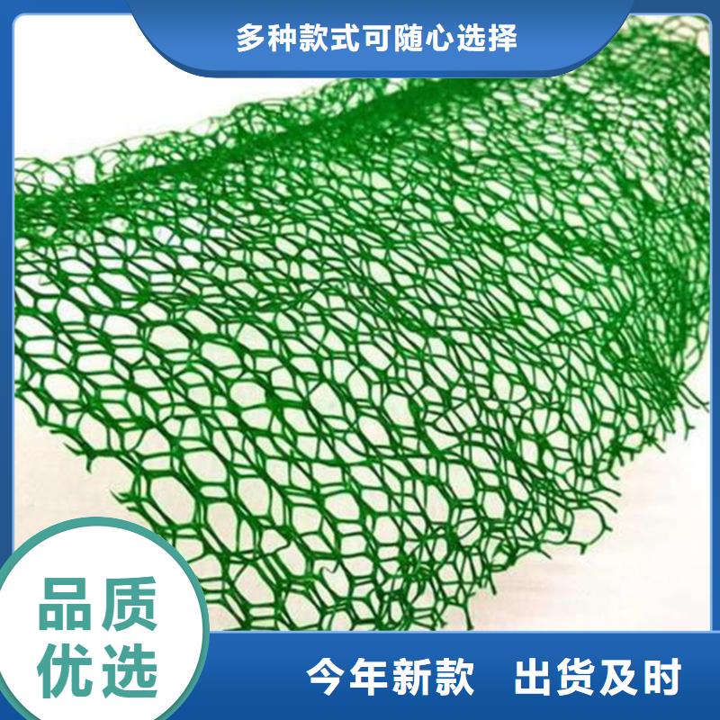 【三维植被网】土工格栅好厂家有担当我们更专业