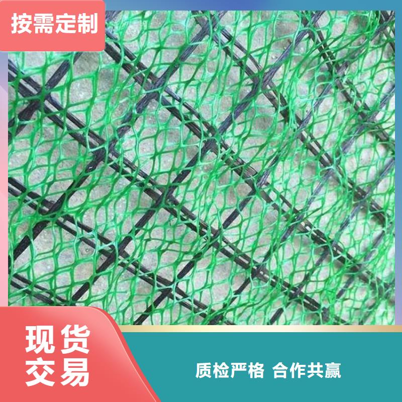 三维植被网土工格室性价比高同城货源