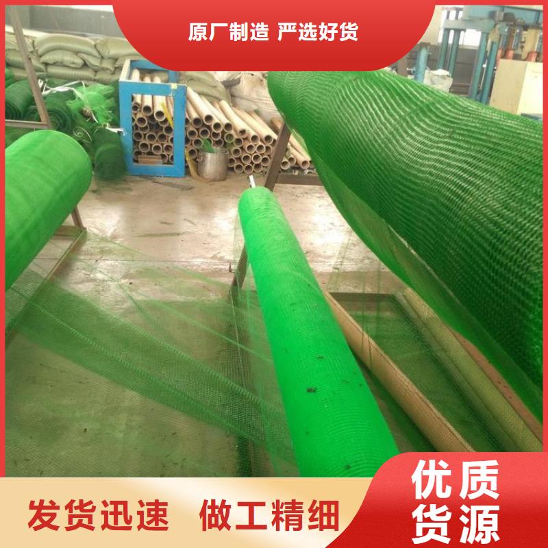 三维植被网,土工膜实体厂家支持定制专注质量