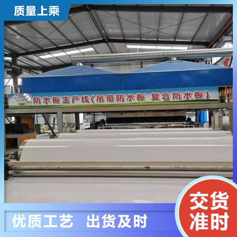 【防水板】钢塑土工格栅好货有保障48小时发货