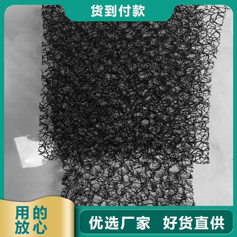 水土保护毯,土工格栅服务至上精心打造