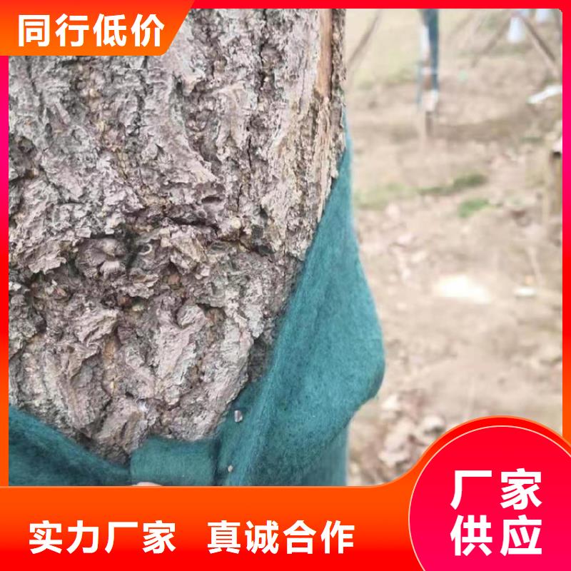 裹树布膨润土防水毯详细参数应用广泛