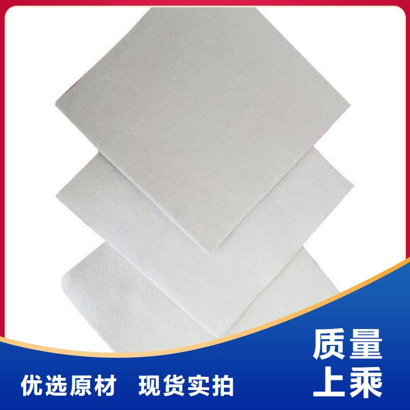 土工布涤纶格栅合作共赢本地生产商