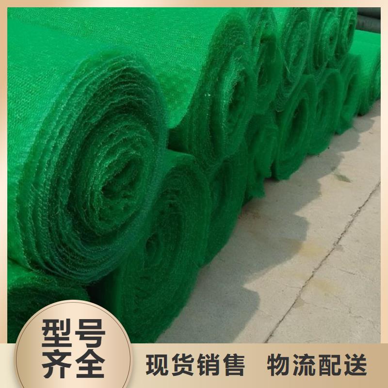 三维植被网玻璃纤维土工格栅标准工艺放心得选择