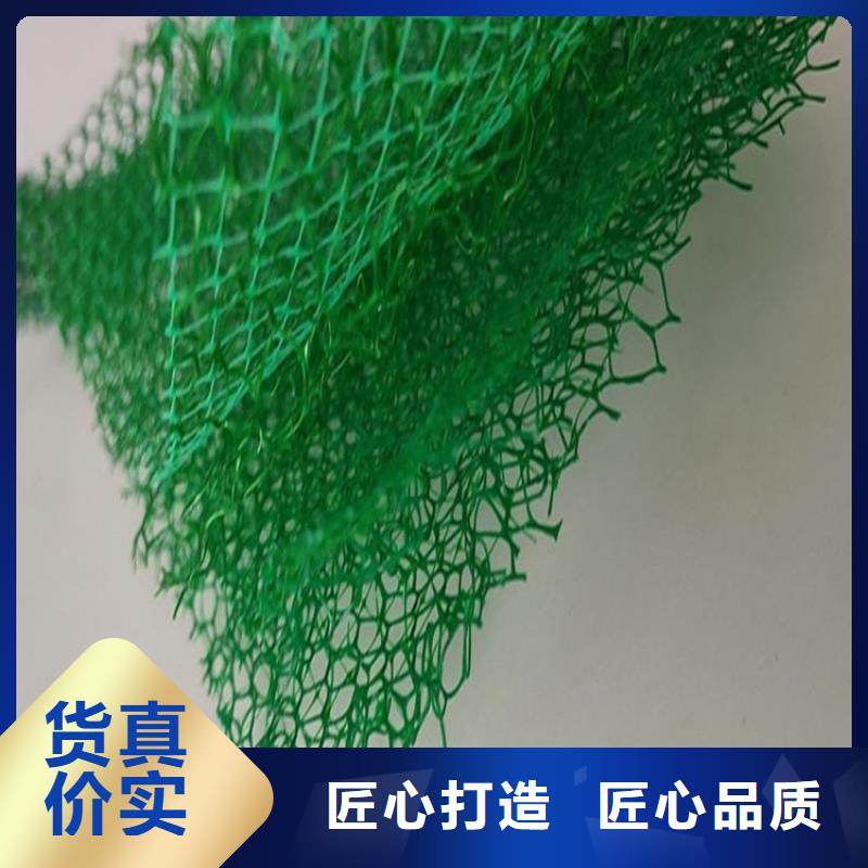​三维植被网-塑料格栅厂诚信经营当地生产厂家