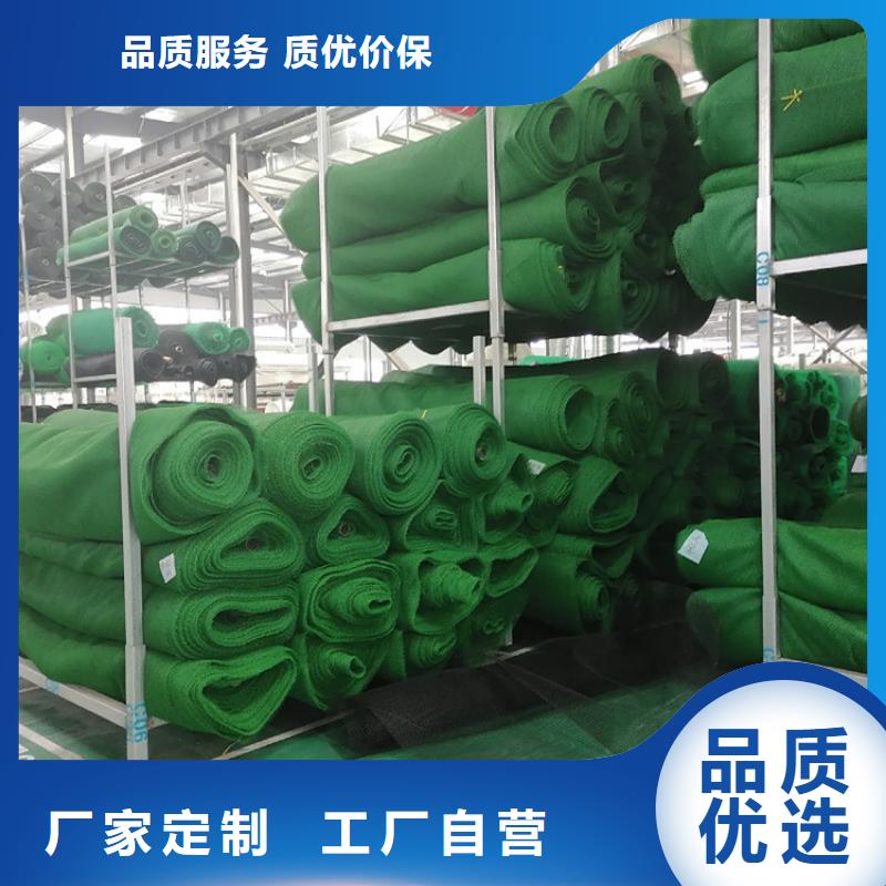 【三维植被网植草格值得信赖】品质保证实力见证
