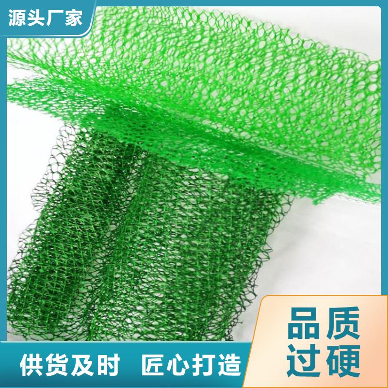 三维植被网土工格栅欢迎来电咨询您想要的我们都有