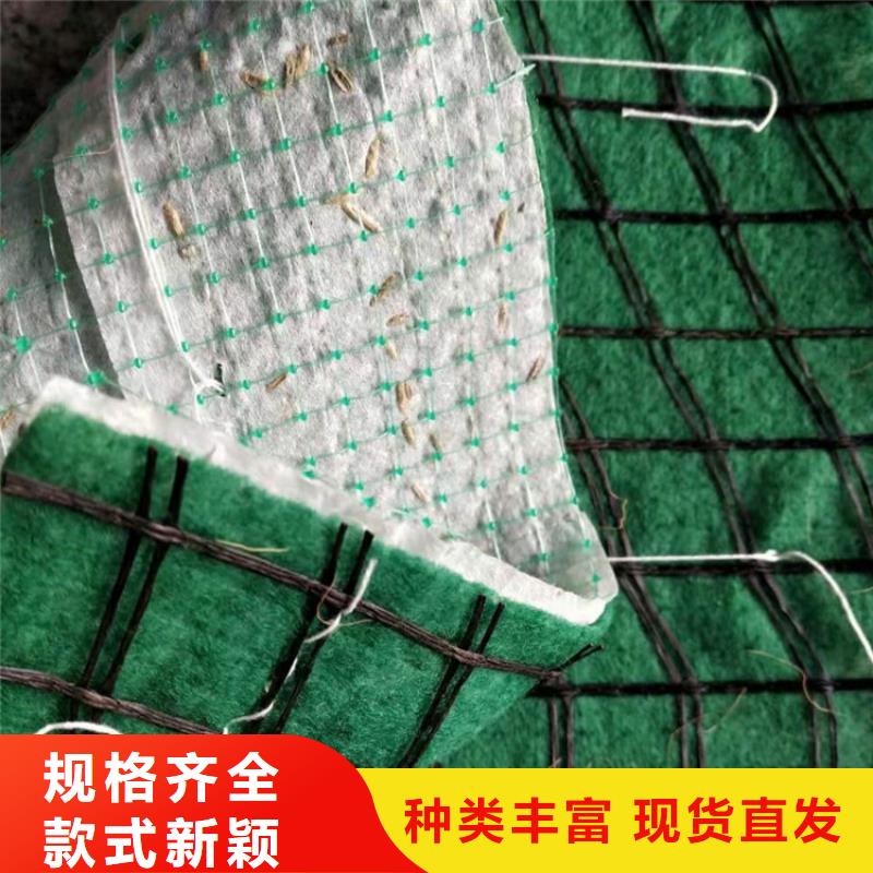 【椰丝毯土工格栅用心做品质】当地供应商