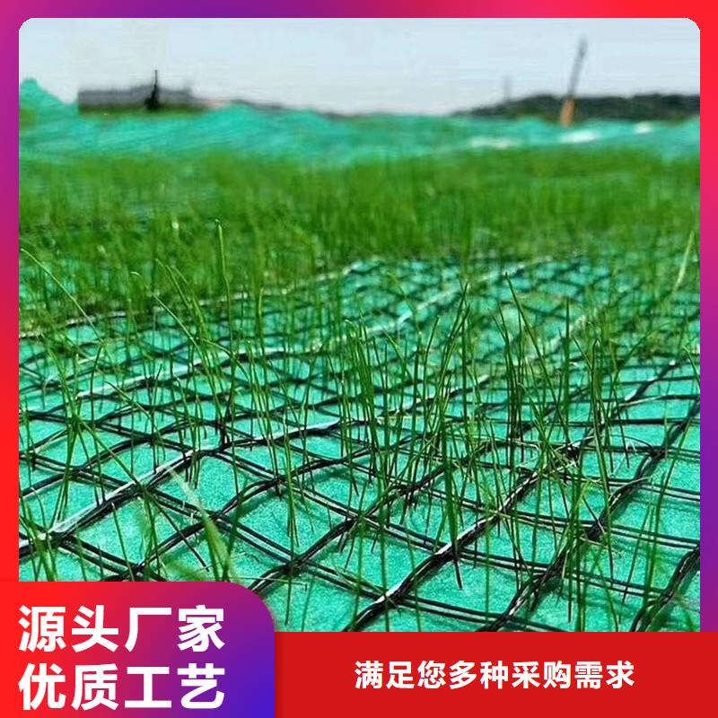 椰丝毯【HDPE土工膜】品质保证实力见证当地生产商