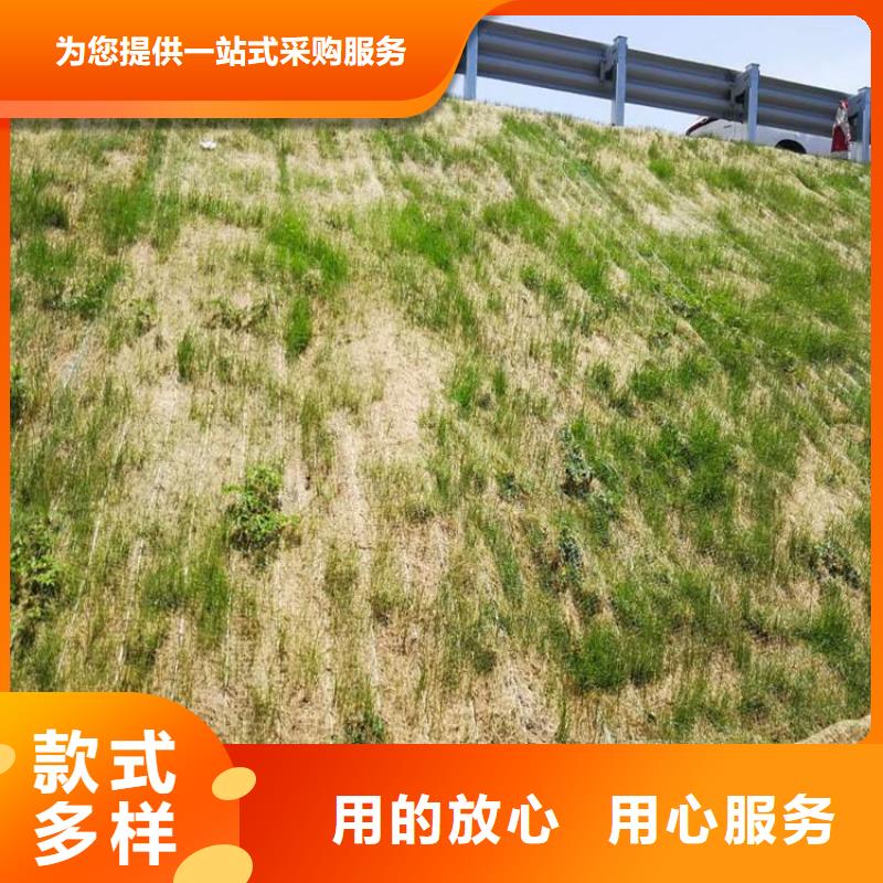 椰丝毯植草格质检严格放心品质为您精心挑选