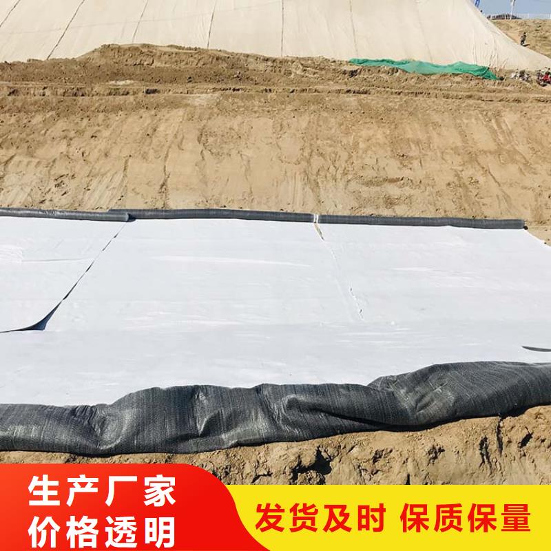膨润土防水毯HDPE土工膜产品细节欢迎新老客户垂询