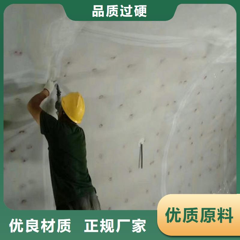 防水板防渗膜好产品价格低厂家自营