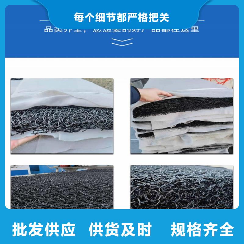 【土工席垫土工格栅认准大品牌厂家】同城生产商