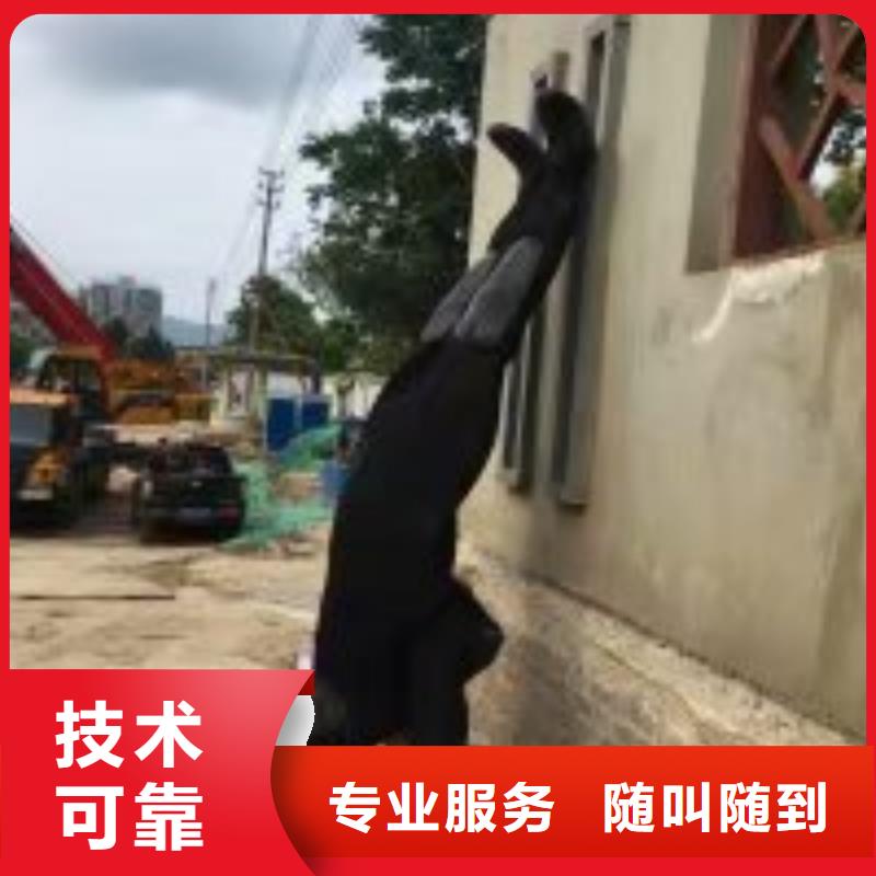 水下检查公司本地有吗有实力