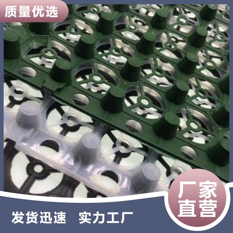 排水板,植草格用的放心品种全