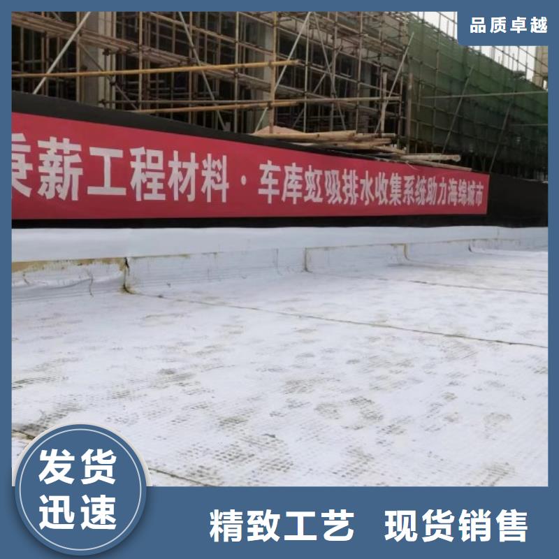 【排水板滤水板好品质售后无忧】当地生产厂家