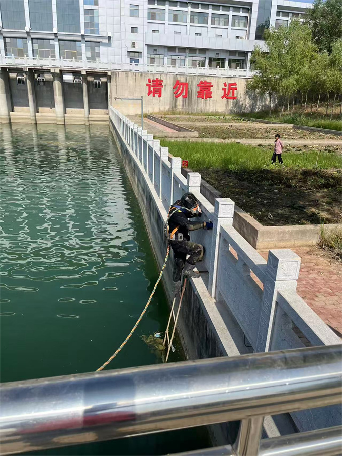 本市-潜水员施工队伍-尽心竭力