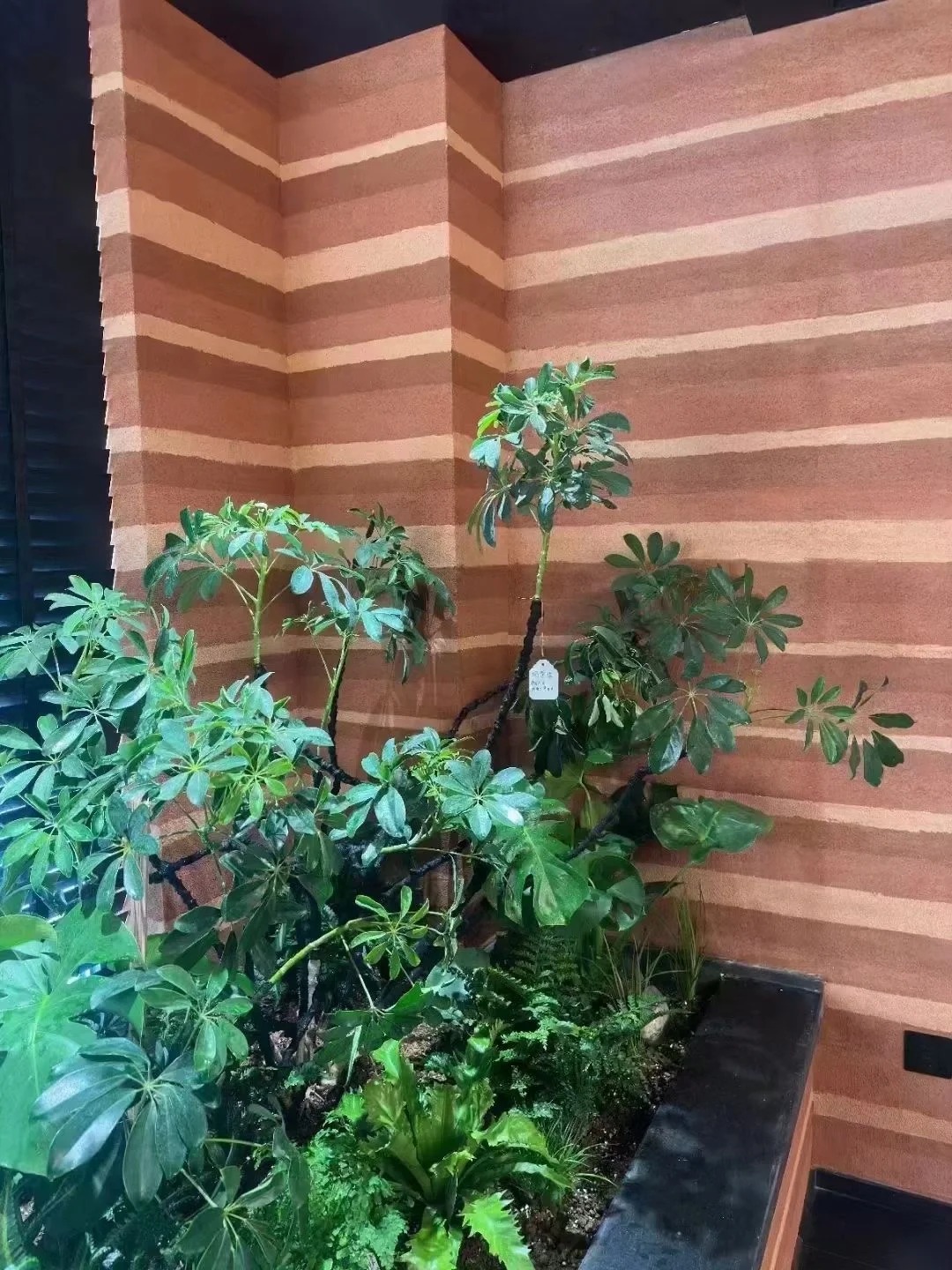 全包施工仿夯土稻草漆型号全价格低