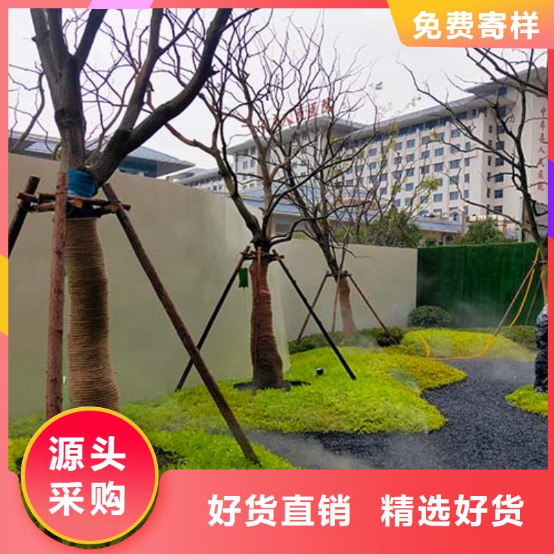 水泥漆,生态灰泥漆专业设计专注生产N年