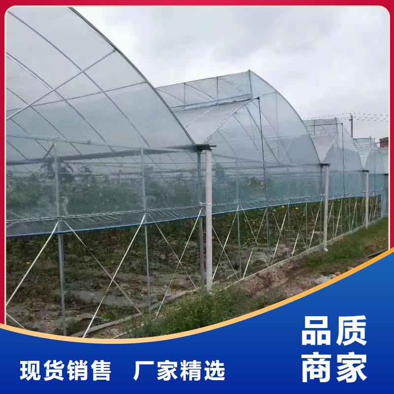 广东省汕头市西胪镇苗圃大棚管厂家现货同城公司