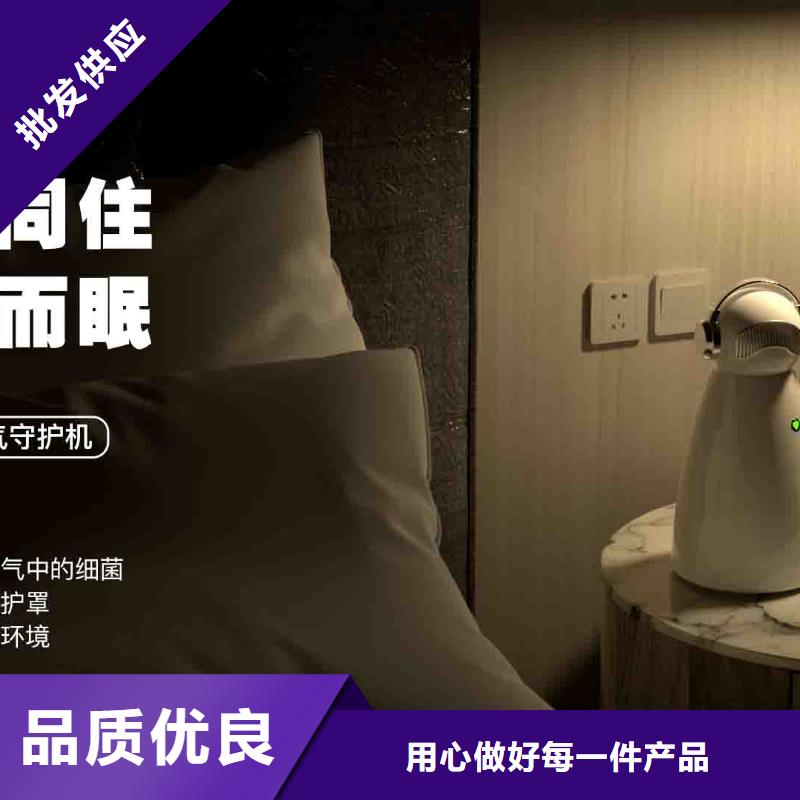 小白孕妇空气守护机室内消毒严选材质同城公司