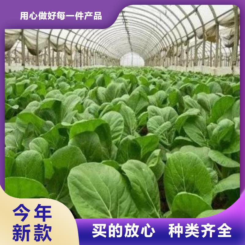 鸡粪价格合适定金锁价