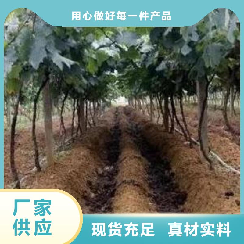 稻壳鸡粪养分含量品质做服务