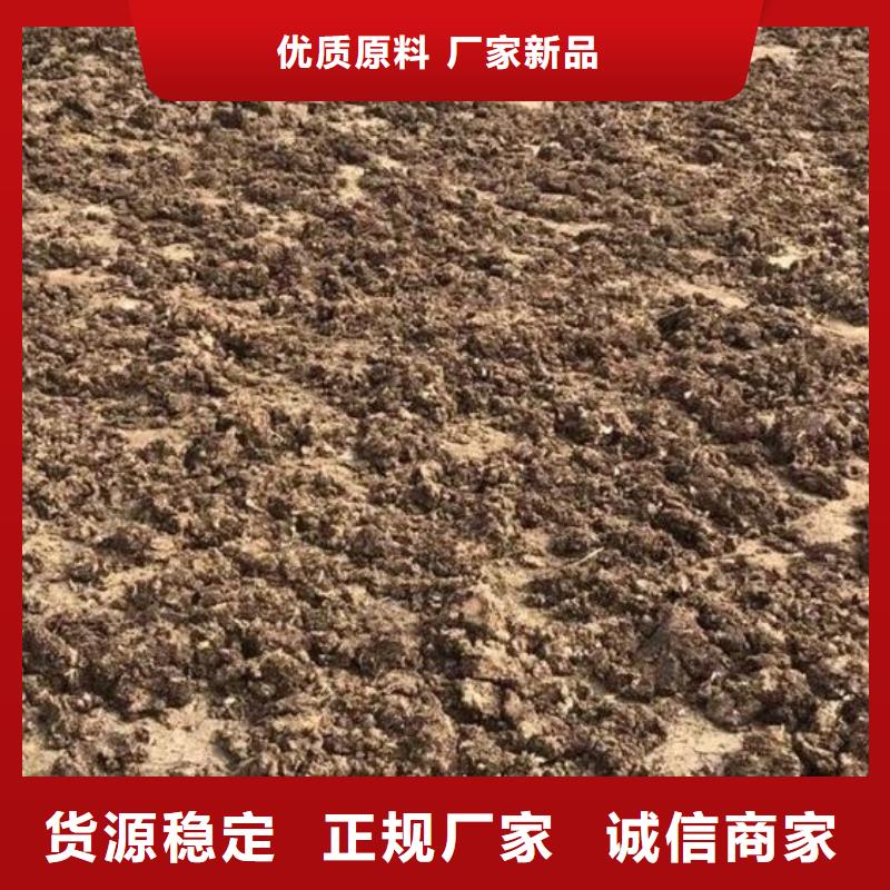 鸡粪有机肥值得信赖一站式供应厂家