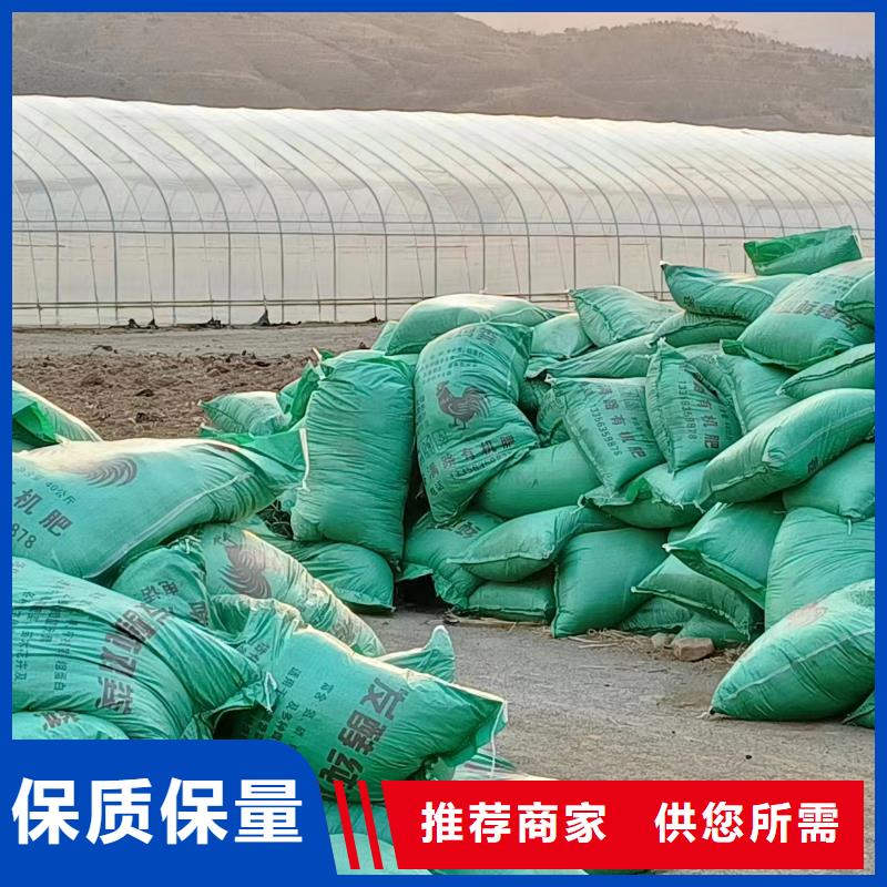 干鸡粪块批发价是多少本地生产厂家