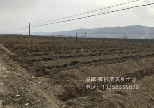鸡粪质量无忧