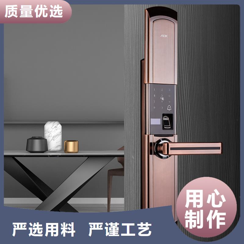 【智能锁】人脸识别智能锁生产厂家货源稳定精选优质材料