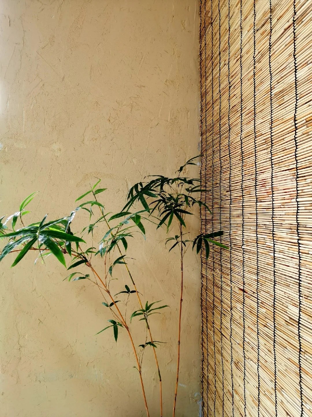 夯土艺术漆施工厂家当地品牌
