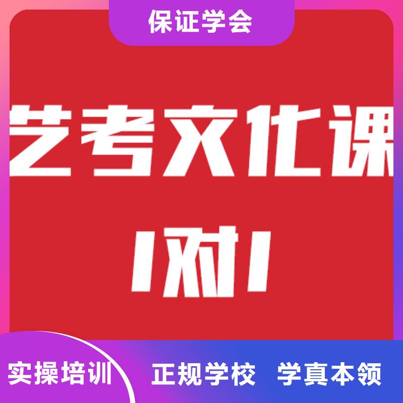 艺考文化课【编导班】正规学校老师专业