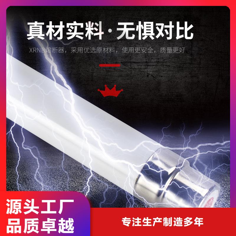 RN1-10/100双管限流熔断器同城服务商