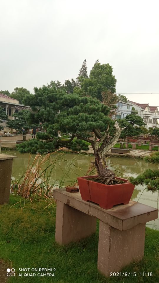 河道淤泥泥生物酶土壤固化剂性价比高