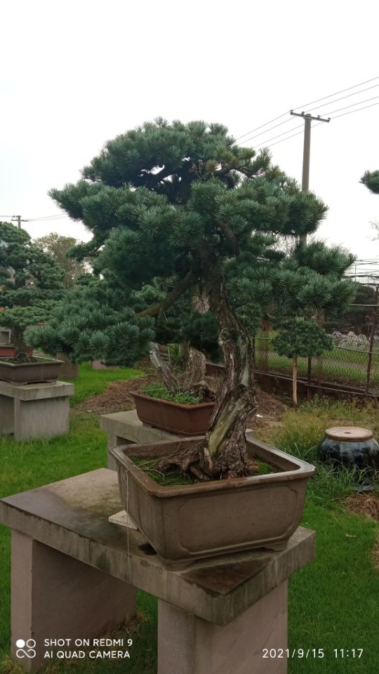 污泥改性剂草原防火道固化土筑路点击查看