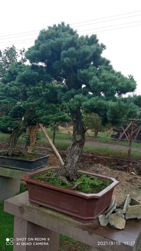 污泥改性剂草原防火道固化土筑路点击查看